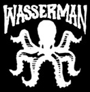 Blog-links-Wasserman